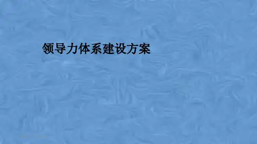 领导力体系建设方案