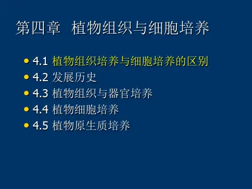 植物细胞培养