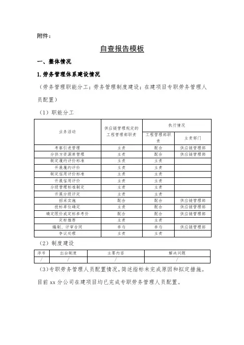 农民工工资支付排查报告