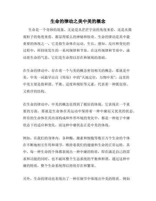 生命的律动之美中美的概念