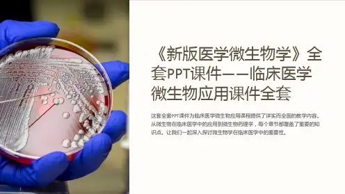 《新版医学微生物学》全套PPT课件——临床医学微生物应用课件全套