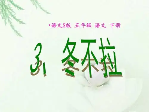 3《冬不拉》课件