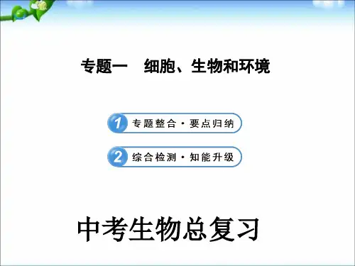 中考生物复习课件人教版专题一课件