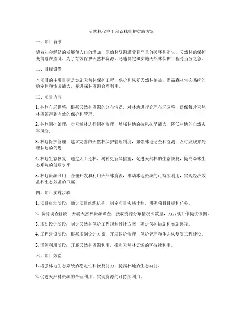 天然林保护工程森林管护实施方案
