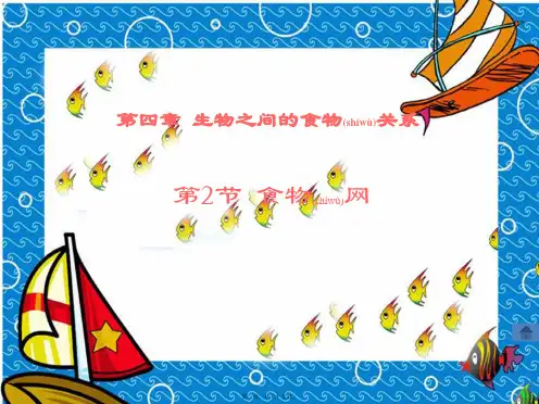 七年级生物上册 第6章 第2节 食物网课件 