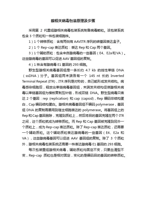 腺相关病毒包装原理及步骤