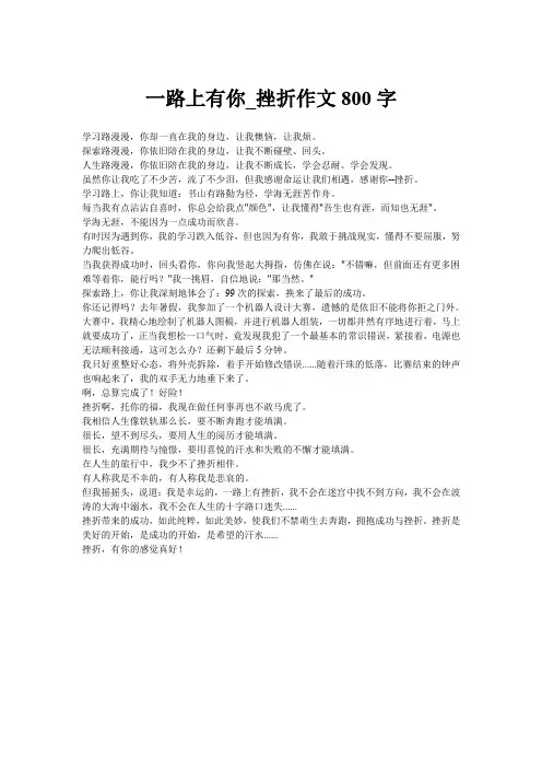一路上有你_挫折作文800字