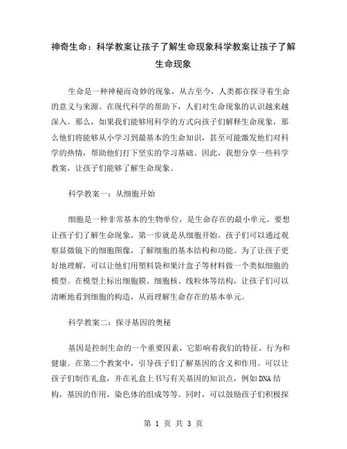 神奇生命：科学教案让孩子了解生命现象