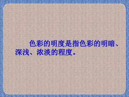 色彩的明度共28张PPT