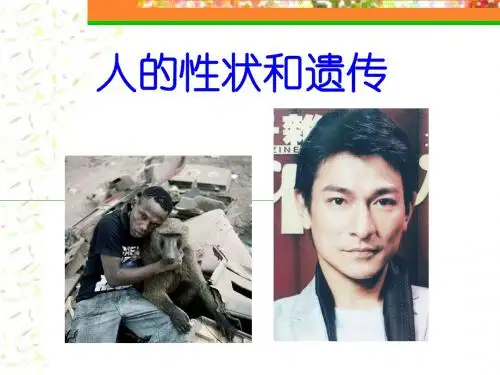 人的性状和遗传ppt3