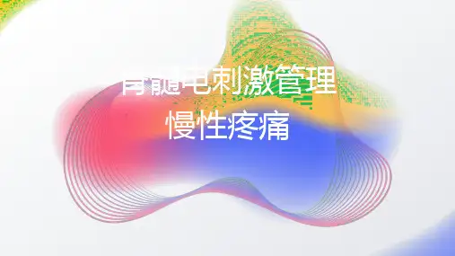脊髓电刺激管理慢性疼痛2024PPT