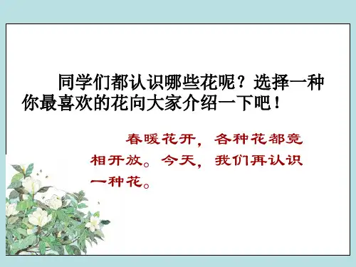 《广玉兰》ppt课件(54页)