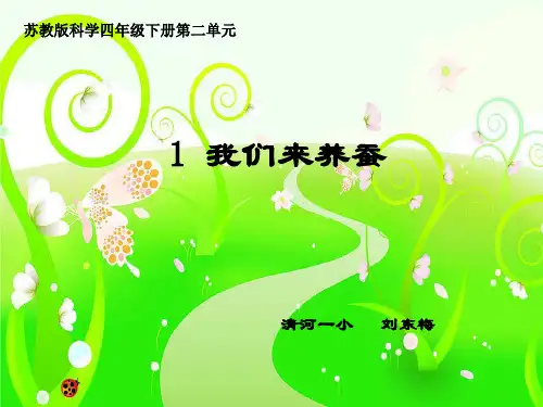 苏教版科学四年级下册《我们来养蚕》PPT课件