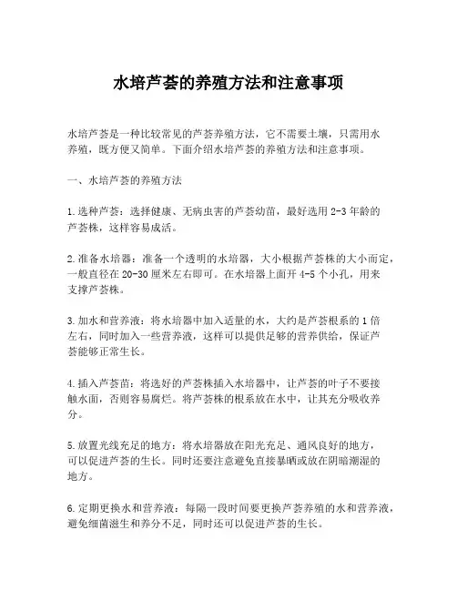 水培芦荟的养殖方法和注意事项