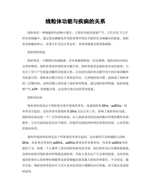 线粒体功能与疾病的关系