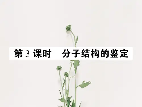 分子结构的鉴定PPT教学课件