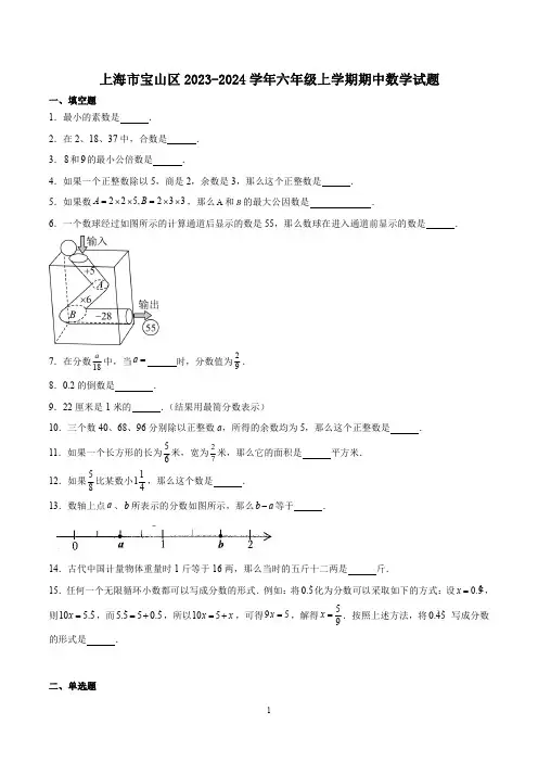 上海市宝山区2023-2024学年六年级上学期期中数学试题