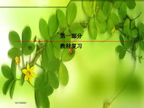 高考英语一轮复习 第一部分 教材复习 unit 2 robots课件