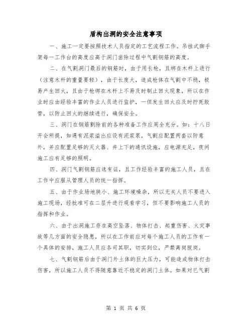 盾构出洞的安全注意事项(三篇)