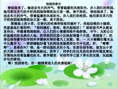 四年级下册语文园地一习作