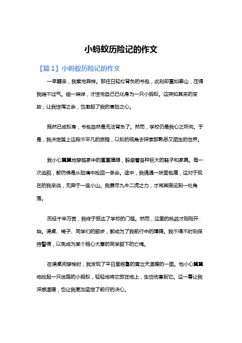 小蚂蚁历险记的作文