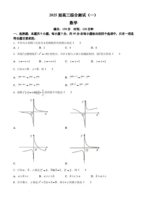2025届广东华南师大附中高三上学期综合测试(月考)(一)数学试题+答案