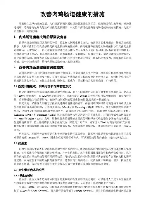 改善肉鸡肠道健康的措施