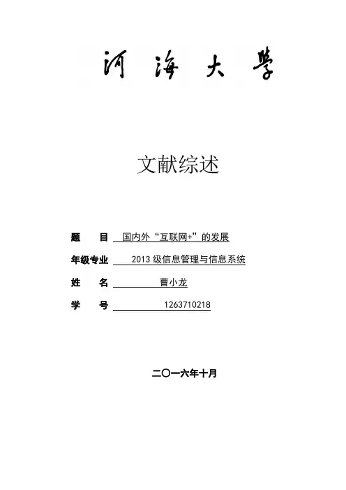 文献综述国内外“互联网+”的发展