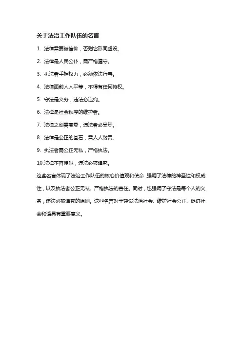关于法治工作队伍的名言