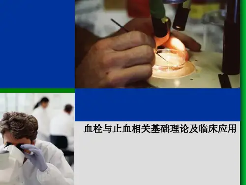 血栓与止血相关基础理论及临床应用
