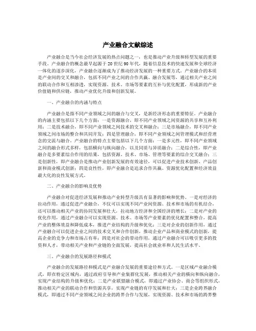 产业融合文献综述