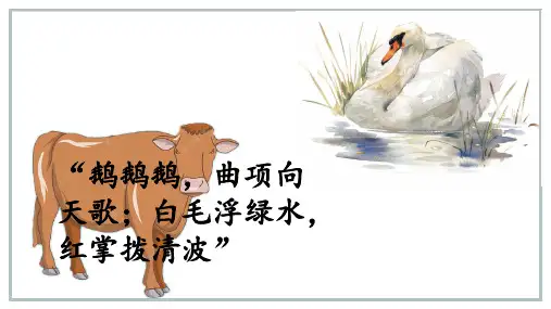 《牛和鹅》课件(共18张PPT)