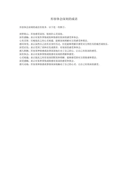 形容体会深刻的成语