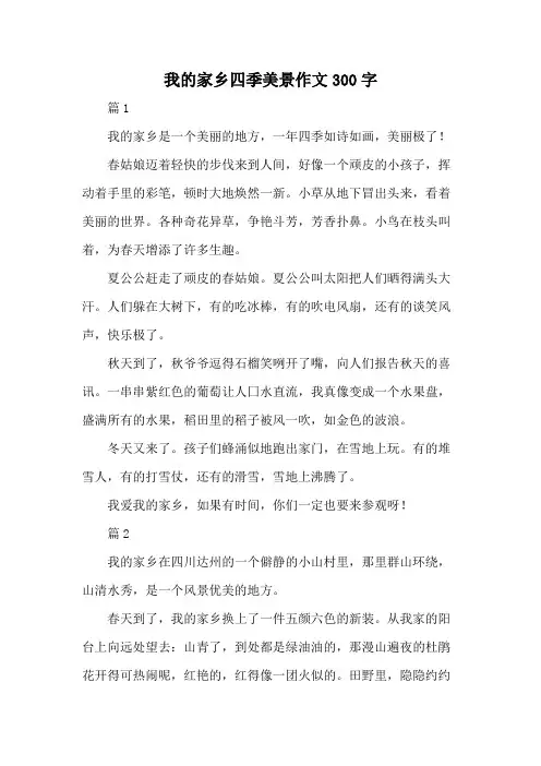 我的家乡四季美景作文300字
