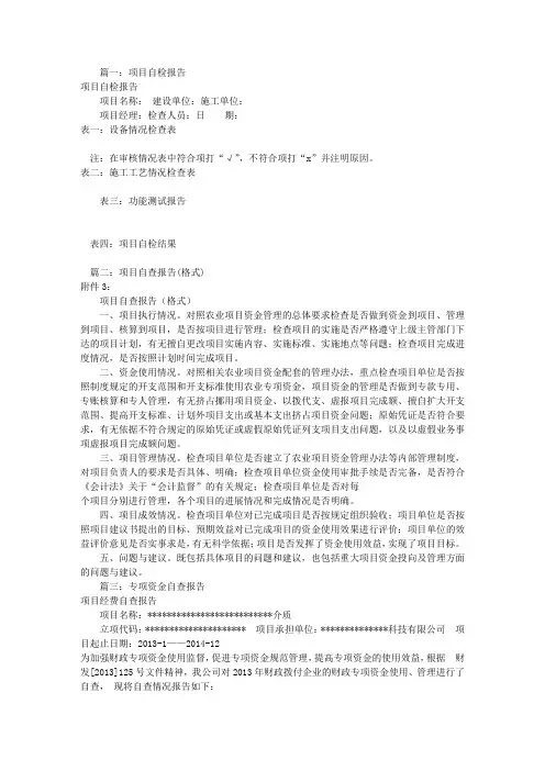 项目自查报告范文(共6篇)