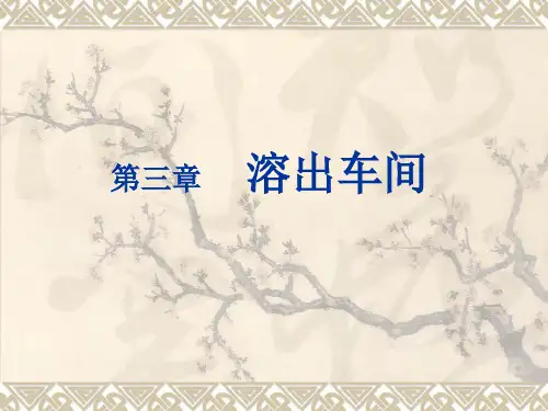 拜耳法生产氧化铝03溶出车间-sn