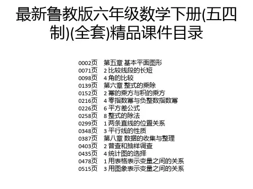 最新鲁教版六年级数学下册(五四制)(全套)精品课件