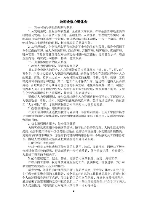 公司会议心得体会