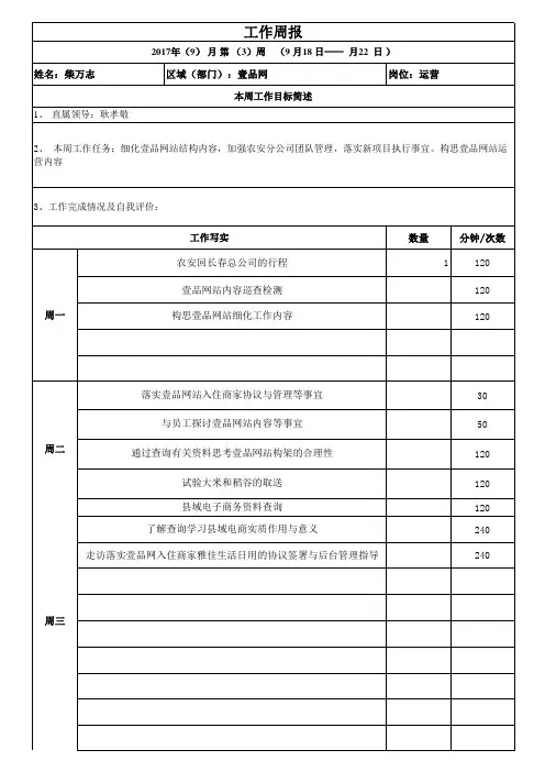 周报格式(模板)