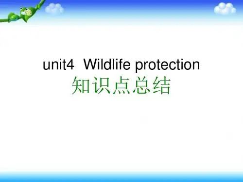 人教新课标高中英语必修(二)-Unit4 Wildlife protection 知识点课件 (共28张PPT)
