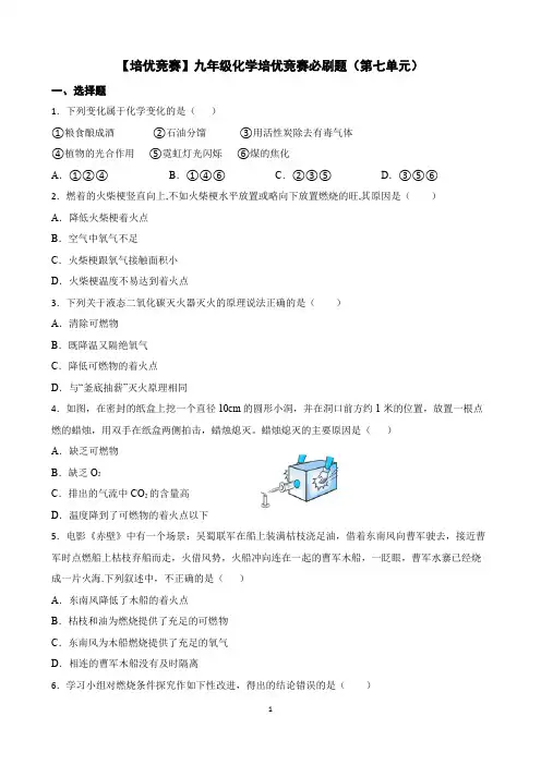 【培优竞赛】九年级化学培优竞赛必刷题(第七单元)(学生版)