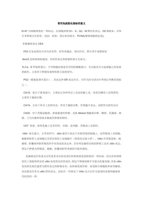 常用免疫组化标记物