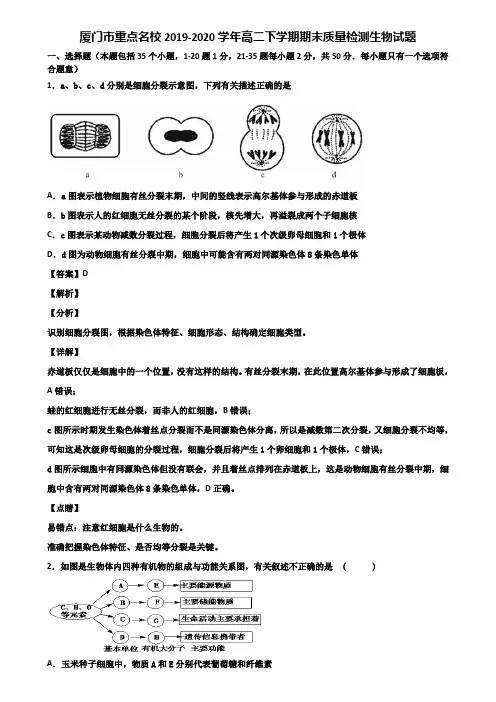 厦门市重点名校2019-2020学年高二下学期期末质量检测生物试题含解析