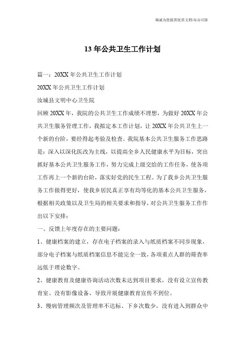 13年公共卫生工作计划