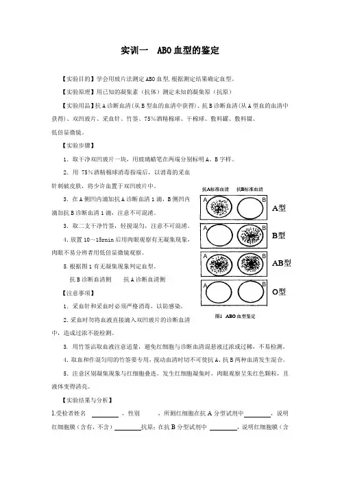 实训  人体动脉血压的测量