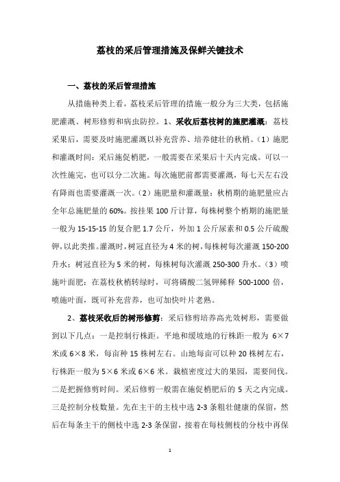 荔枝的采后管理措施及保鲜关键技术
