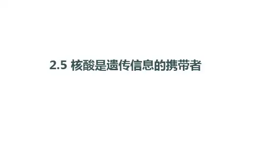 核酸是遗传信息的携带者ppt课件