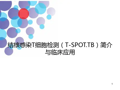 T-SPOT.TB-PPT精选课件