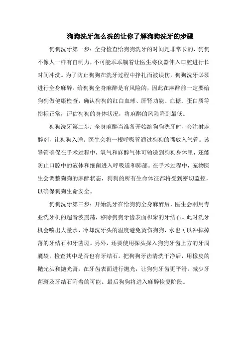 狗狗洗牙怎么洗的让你了解狗狗洗牙的步骤