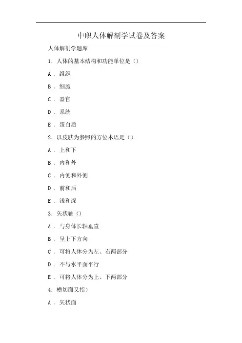 中职人体解剖学试卷及答案